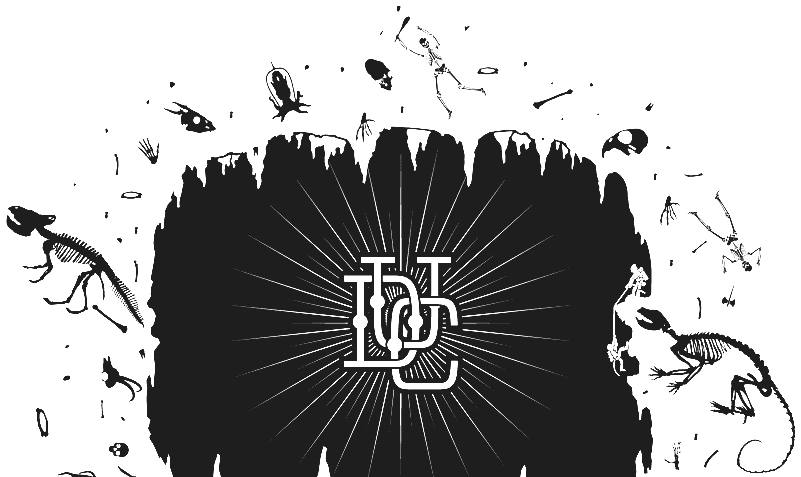 Murale della caverna con il monogramma DUC, Down Under Cafè Vanzago